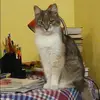 Отзыв от Алина Румянцева